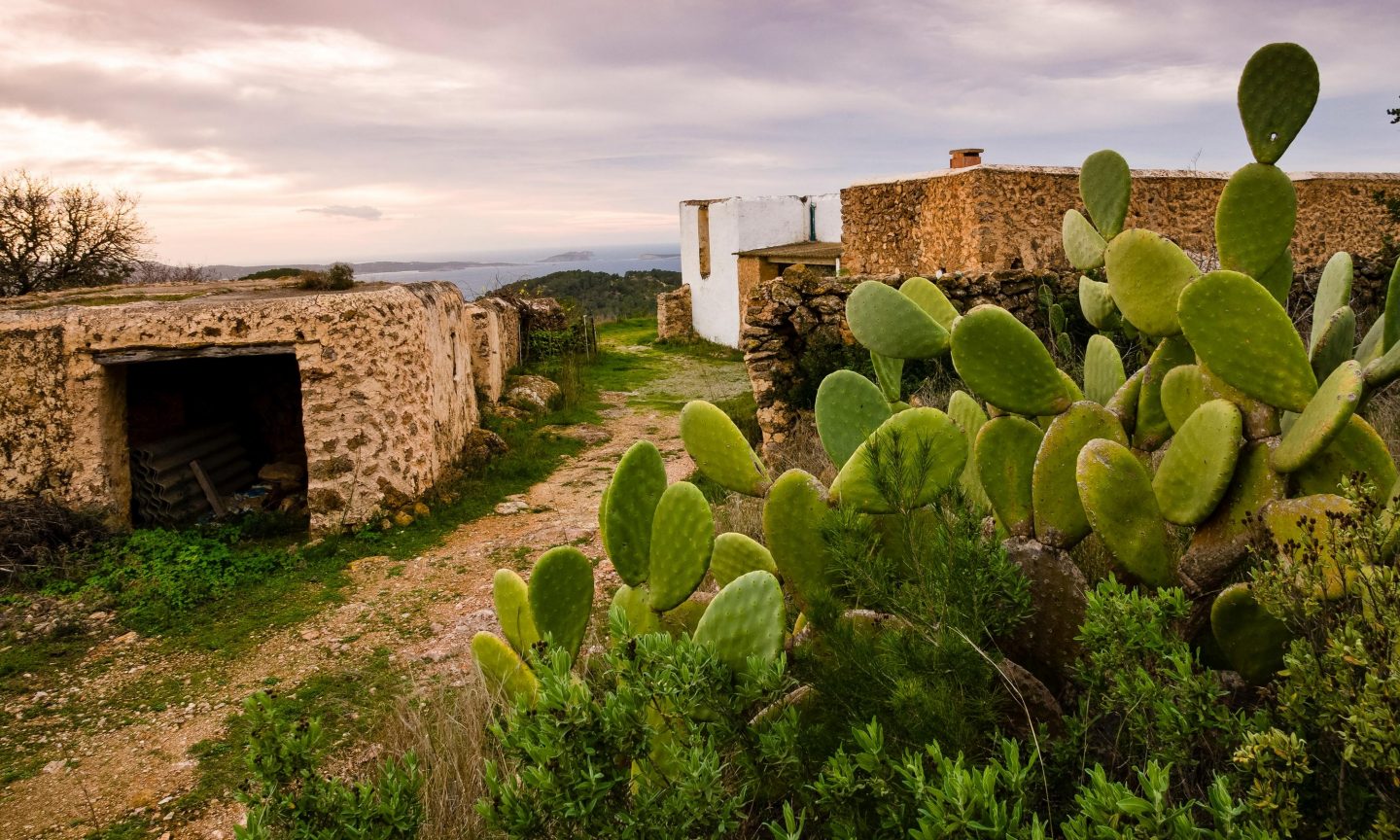 Small mountain village with cacti on Ibiza