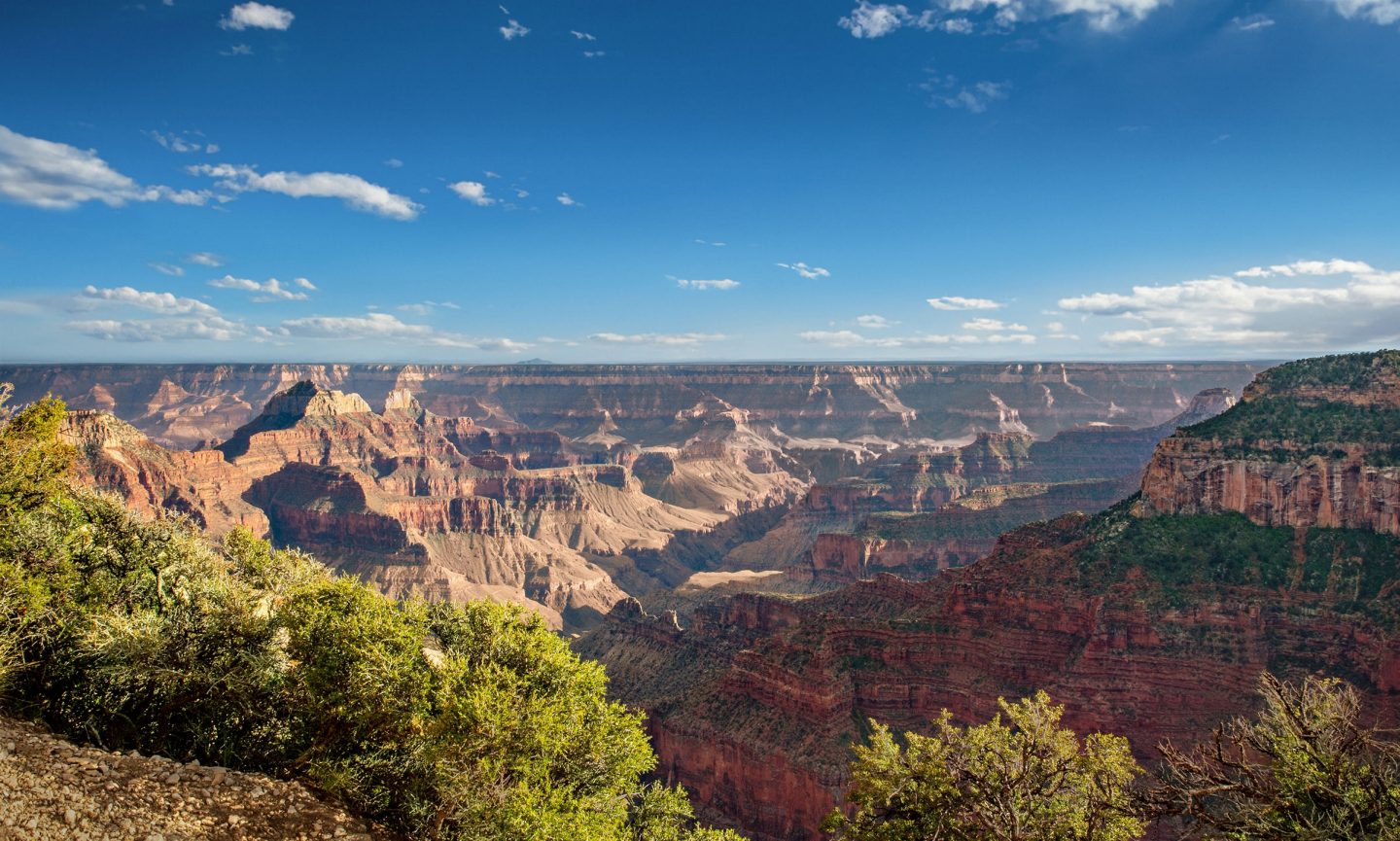 View of the Grand Canyon