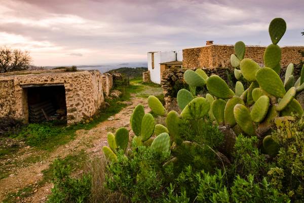 Kleines Bergdorf mit Kakteen auf Ibiza