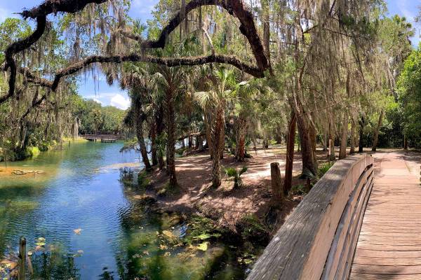 Brücke in Wekiwa Springs State Park in Orlando