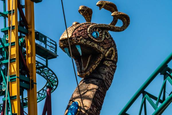 Achterbahn in den Busch Gardens in Tampa