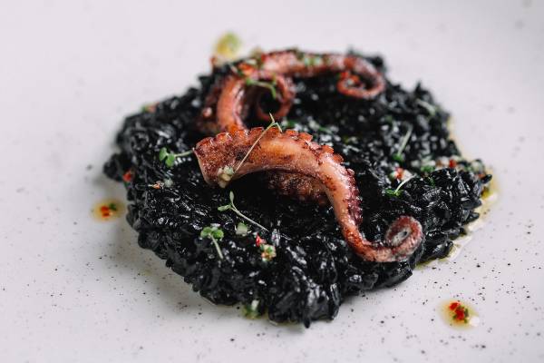 Risotto with Octopus