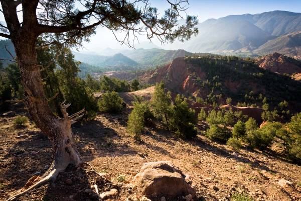 View over the Atlas Mountains