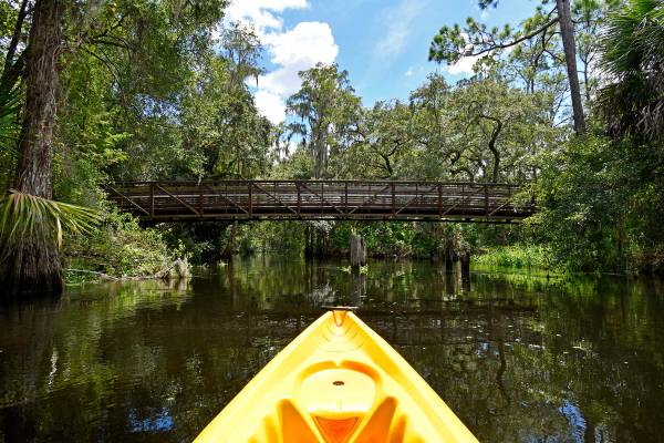 Canoe on the river in Orlando