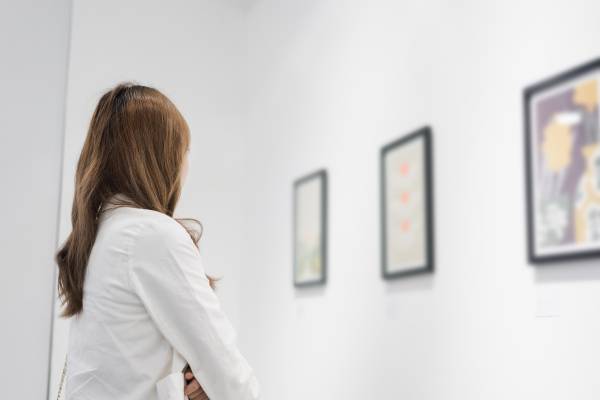 Gallery at the Orlando Museum of Art