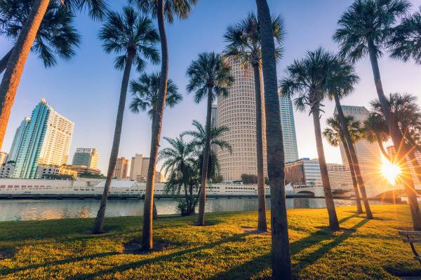 Promenade with palm trees in Tampa